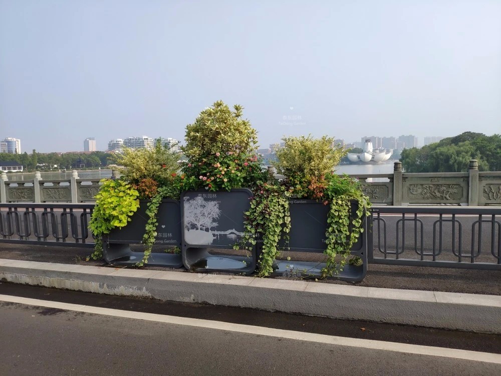 1678936523518514.jpg 東湖景區(qū)花箱3.jpg