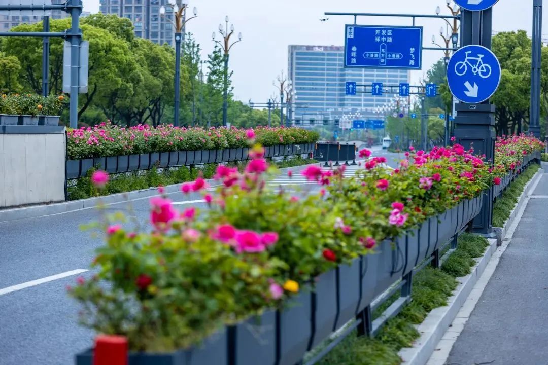 1689121947622168.jpg 花箱